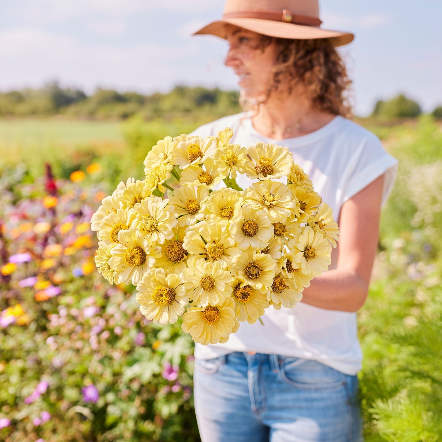 Zinnia Seeds - Isabellina