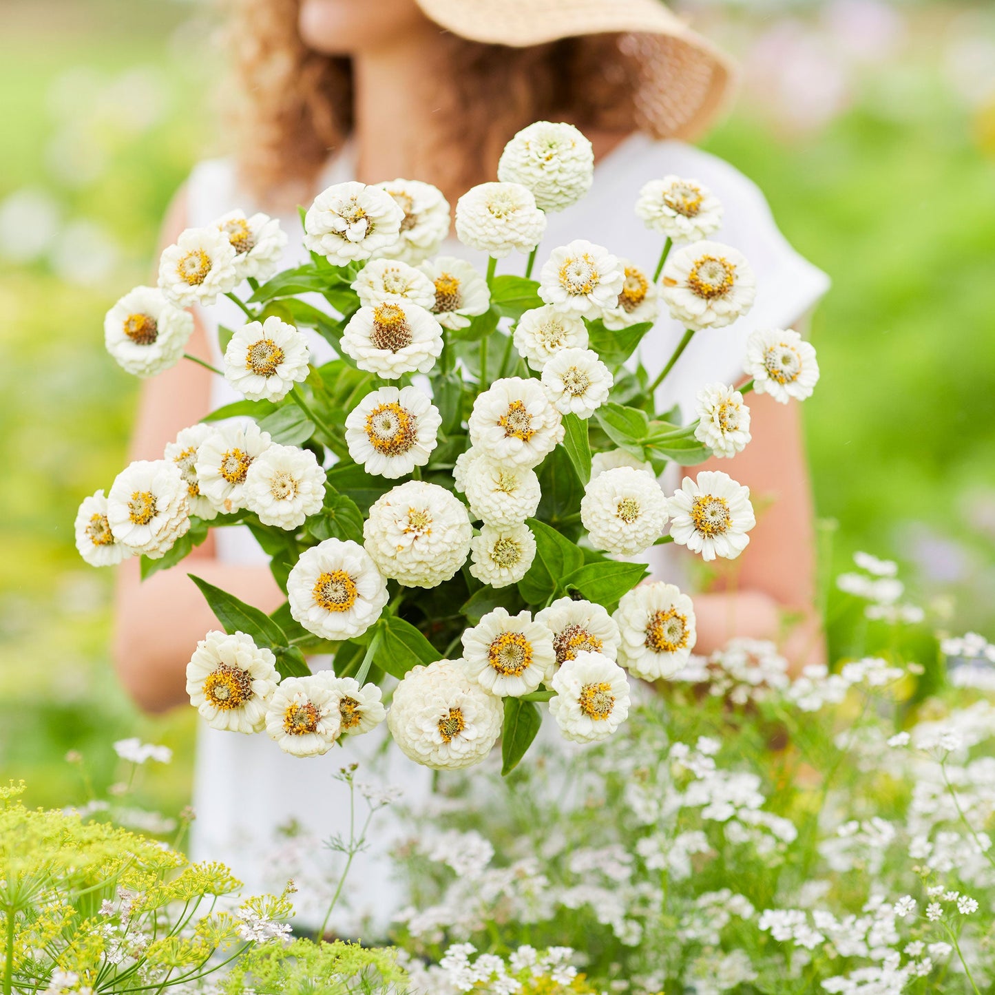 Zinnia Seeds - Lilliput White