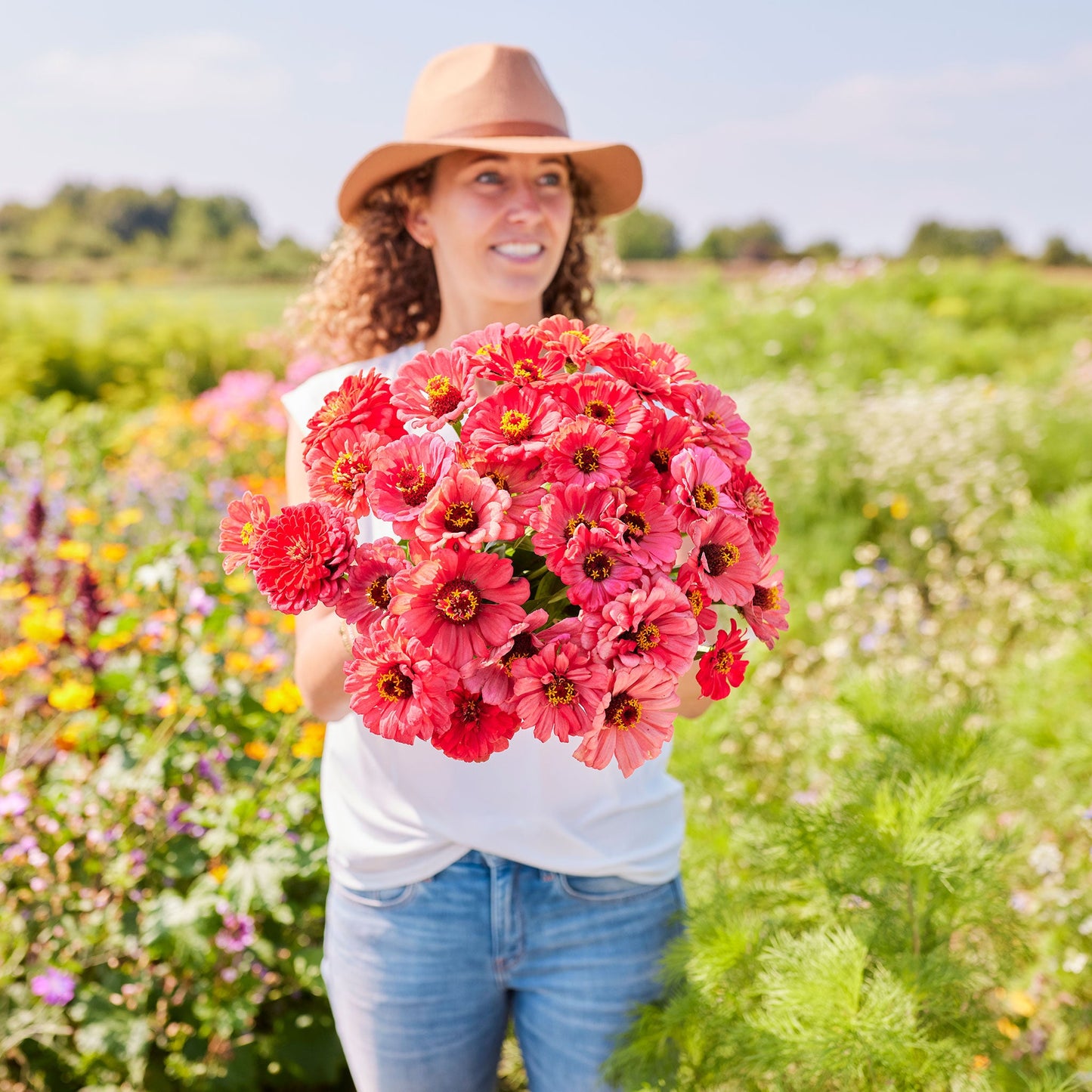 Zinnia Seeds - Salmon Queen