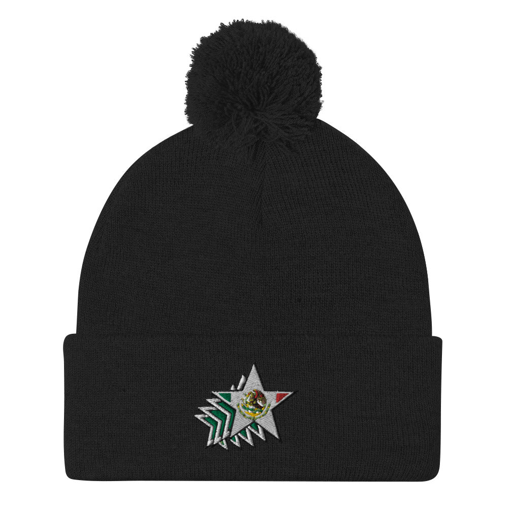 Star Burst Pom-Pom Beanie