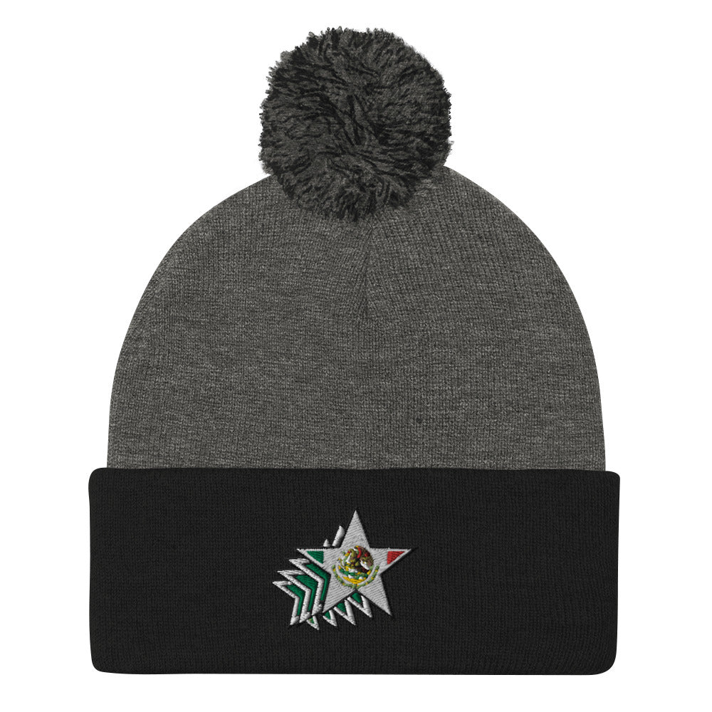 Star Burst Pom-Pom Beanie