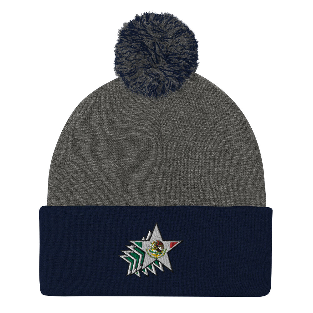 Star Burst Pom-Pom Beanie