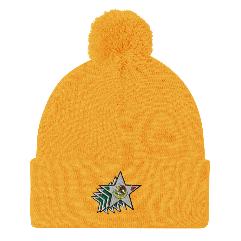 Star Burst Pom-Pom Beanie