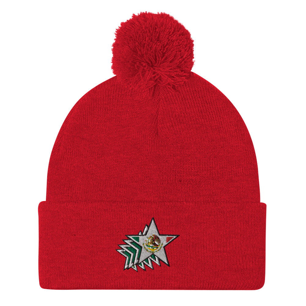 Star Burst Pom-Pom Beanie